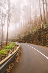 Mysterious foggy asphalt road through the forest.