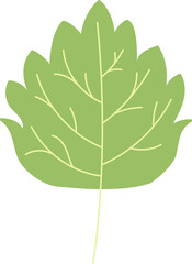 Green Leaf Isolated