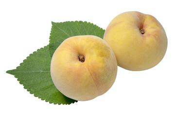 Ripe Japanese golden peach fruit with green leaves.