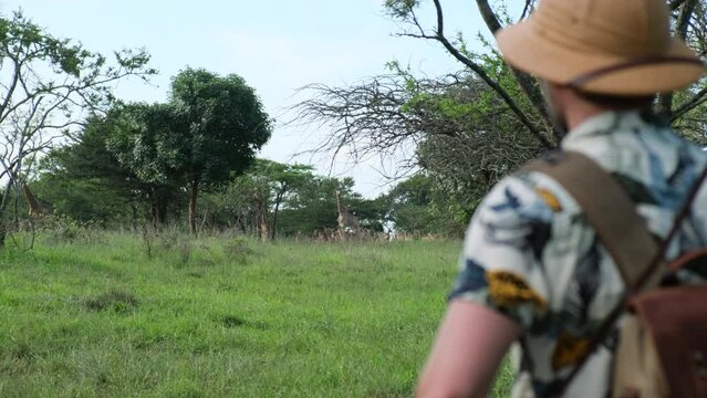 Safari photographer man walking in tall grass with giraffe. Young man wearing safari shirt and pith helmet holding binoculars. Young man wearing safari shirt and pith helmet