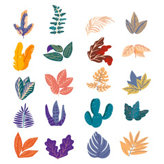 Fototapeta na wymiar Tropical leaves collection. Vector illustration isolated elements on the white background
