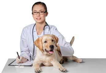 Fototapeta na wymiar Beautiful young veterinarian with a dog on a white background