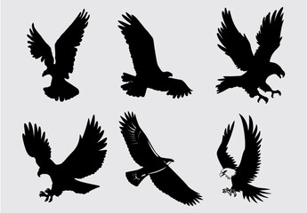 Set of Eagle Silhouette. Different style and position eagle flying in sky. Falcon and hawk Symbol of strength, courage, freedom and immortality. Editable vector for reuse and manipulate. eps 10.