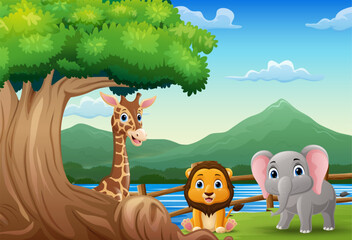 Cartoon wild animals in the jungle