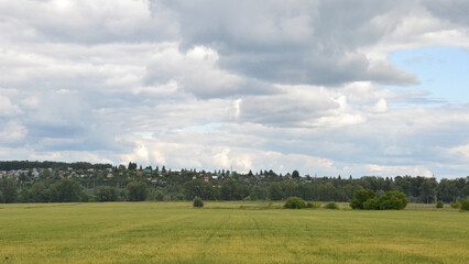 landscape with trees