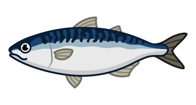 blue mackerel fish cartoon style clip art preview