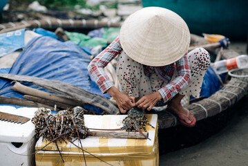 A fisherman is preparing lobster in Muine Vietnam