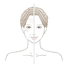 若い綺麗な肌と加齢サインの出たお肌の対比 美容イメージイラスト