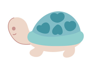 turtle cute animal