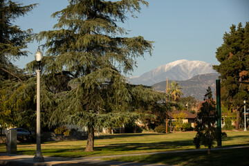 Evergreen park framed view of the San Gabriel Mountains from San Dimas, California, USA.