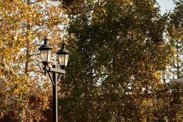 A historic lamp post with a background of autumn foliage in historic downtown San Dimas, California, USA.