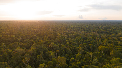 Obraz premium The Nanay River, one of the most important freshwater channels in the Peruvian jungle surrounded by green nature, and is part of the Allpahuayo Mishana Reserve