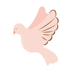 dove icon isolated