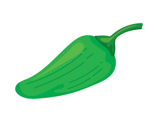 chili vegetable icon