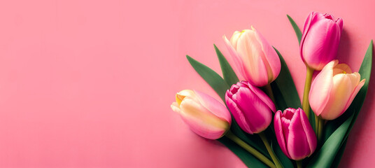 Tulips flower on pink color background, AI generated.