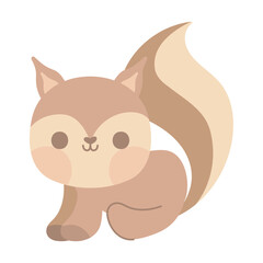 squirrel cute animal