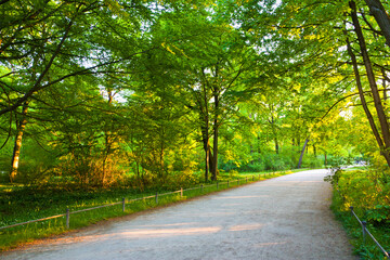 Obraz premium The Hofgarten is a garden in the center of Munich, Germany, located between the Residenz and the Englischer Garten.