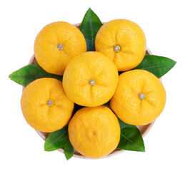 Obraz na płótnie Canvas Yuzu Orange fruit on White backghround. Sweet Yuzu Orange fruit isolate on white PNG File.