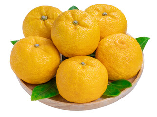 Yuzu Orange fruit on White backghround. Sweet Yuzu Orange fruit isolate on white PNG File.