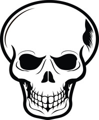 Skull head and bones vector image