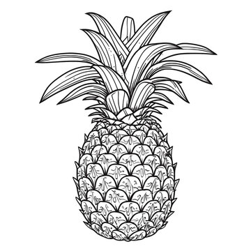 Pineapple vector, isolated on white background.