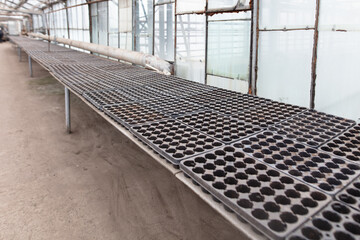 Fototapeta premium Empty molds for seedlings inside the greenhouse.