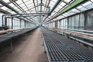 Metal frames inside the greenhouse.