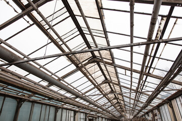 Metal frames inside the greenhouse.