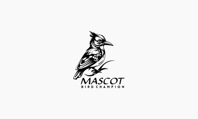 bird vector concept design mascot logo