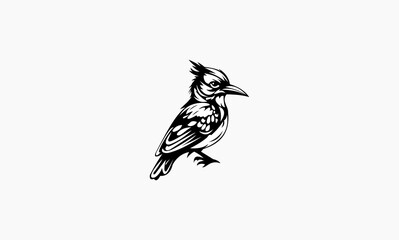 bird vector concept illustration design logo