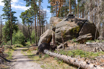 Impressionen aus Ilsenburg Harz und Umgebung