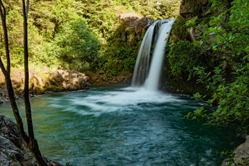 Fototapeta premium Tawhai Falls In New Zealand