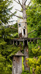 Bee deck on a tree in the forest. The ancient method of beekeeping.