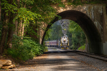 Steam Train Entering a Tunnel
