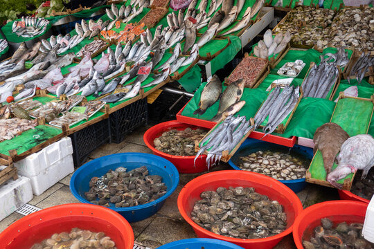 Assorted fresh raw seafood at local market