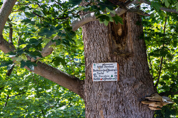 Impressionen aus Ilsenburg Harz und Umgebung