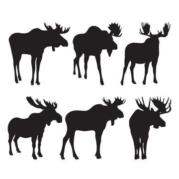 Moose silhouettes, forest animals set stencil templates for design