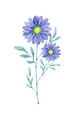 花の水彩イラスト