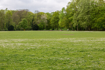 Obraz premium Grass field and trees in park