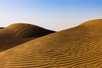 Golden Sand Dune Desert Landscape. Beautiful view of sand dunes in the Al Qudra Desert, Dubai, UAE.