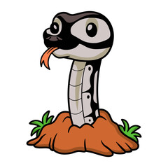 Cute python snake cartoon out from hole