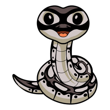 Cute happy python snake cartoon