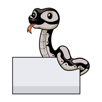 Cute python snake cartoon with blank sign