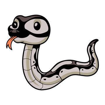 Cute happy python snake cartoon