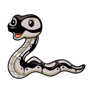 Cute happy python snake cartoon