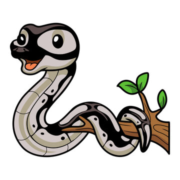 Cute python snake cartoon on tree branch