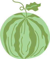 Watermelon summer illustration