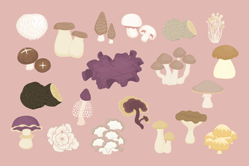 Set of Edible Mushrooms Cute Hand Drawn Illustration