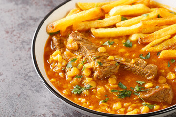 Gheimeh or Qeimeh is an Iranian stew consisting of diced mutton or beef, tomatoes, split peas, onion and dried lime, garnished with golden crispy potatoes closeup on a plate on the table. Horizontal