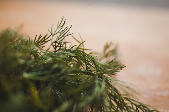 Close-up of dill on table